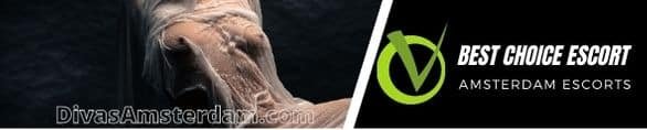 Your Choice Of An Escort In Amsterdam And Getting The Most Out Of It