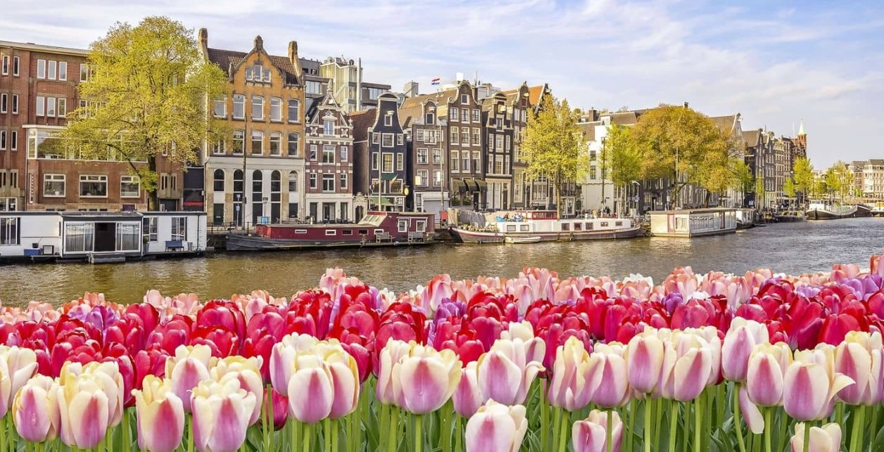 Heemstede by night with discreet escort services available